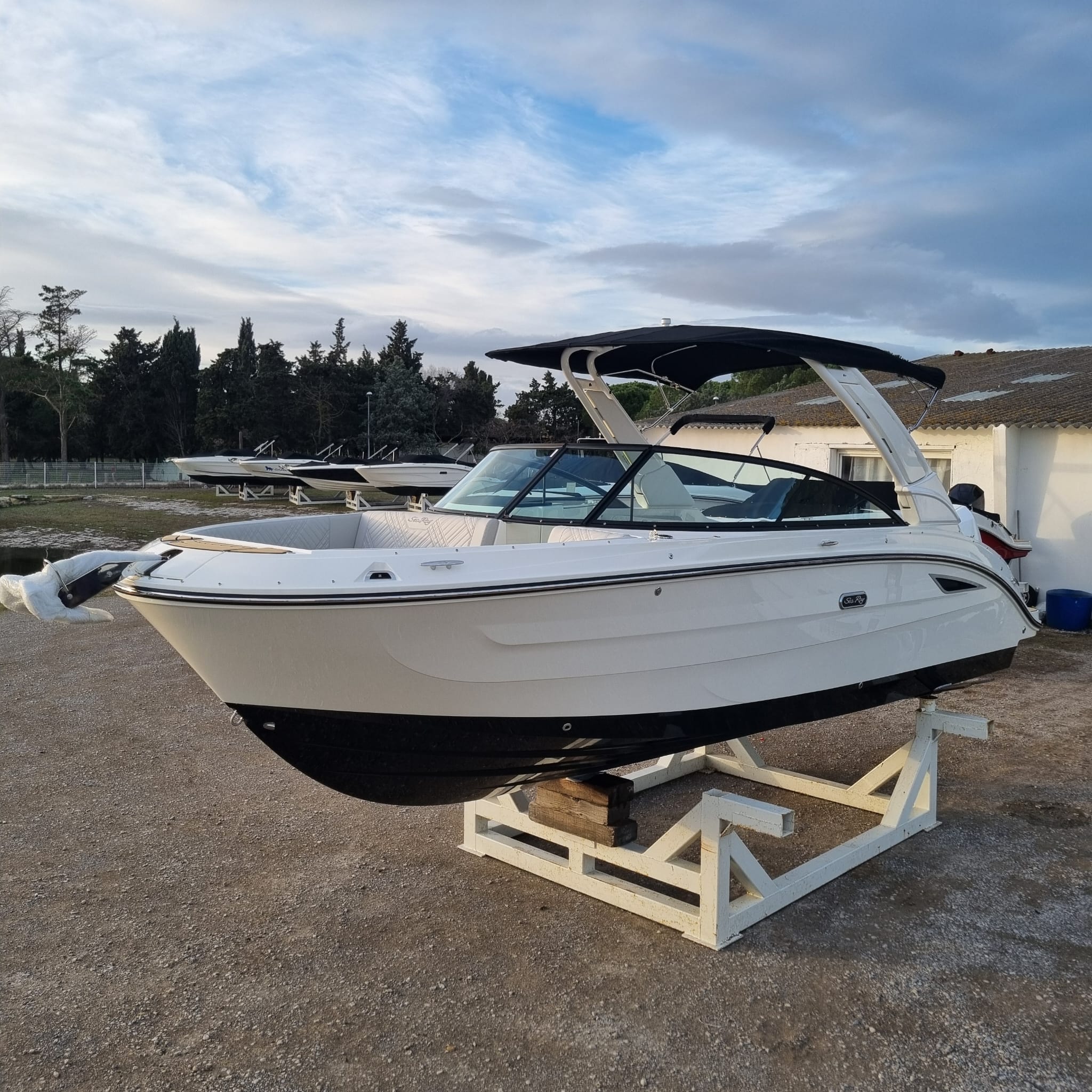 Sea ray - 250 sdx hors-bord